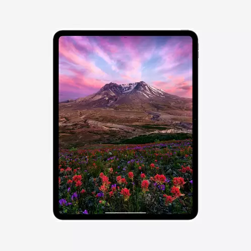 iPad Pro 13" (M4, 2024), Wi-Fi + Cellular, 2 Тб, серебристый