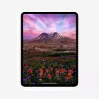 iPad Pro 13" (M4, 2024), Wi-Fi, 2 Тб, серебристый