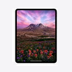 iPad Pro 13" (M4, 2024), Wi-Fi, 1 Тб, "черный космос"