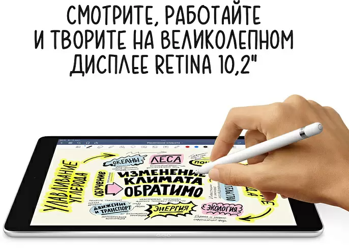 iPad 10,2" (2021), Wi-Fi + Cellular 64 Гб, «серый космос»