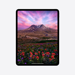 iPad Pro 13" (M4, 2024), Wi-Fi, 2 Тб, "черный космос"
