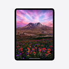 iPad Pro 13" (M4, 2024), Wi-Fi, 1 Тб, "черный космос"