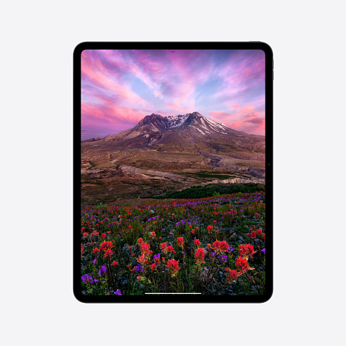 iPad Pro 13" (M4, 2024), Wi-Fi + Cellular, 2 Тб, нанотекстурное стекло, серебристый